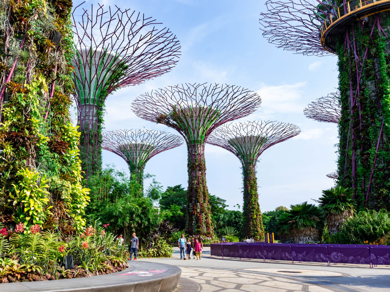 Singapore Spectacle
